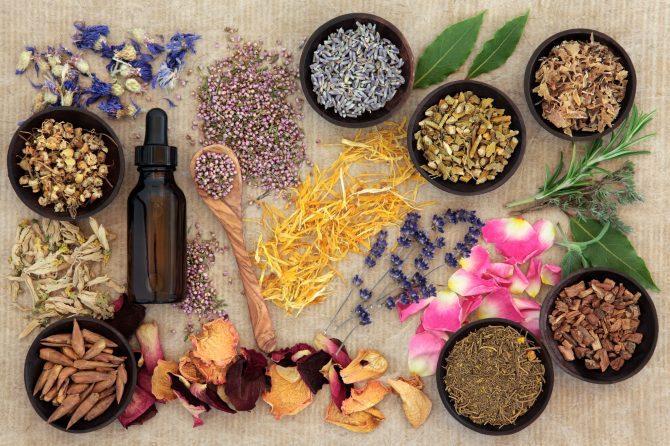 What is Homeopathy vs Naturopathy?